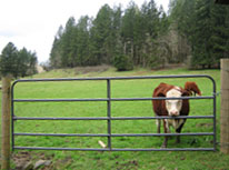 Cattle ranchers favor U-Latch's durable, simple design.