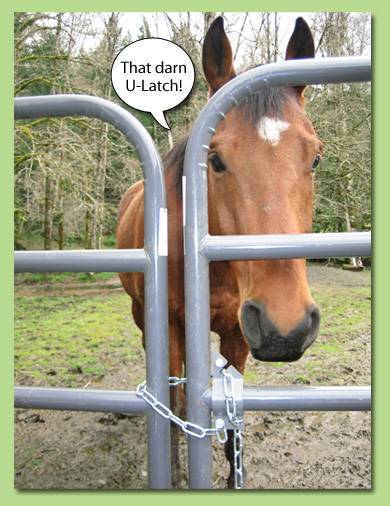 Tater, the escape artist horse responsible for the development of the U-Latch