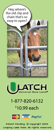 Tater locked behind two gates latched together