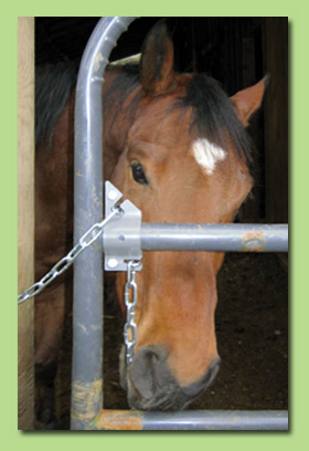 Tater trying unsuccessfully to open the U-Latch by grabbing the latching chain in his mouth